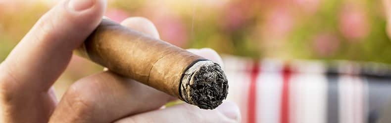 What is the filler in cigars? - Stogie Shop
